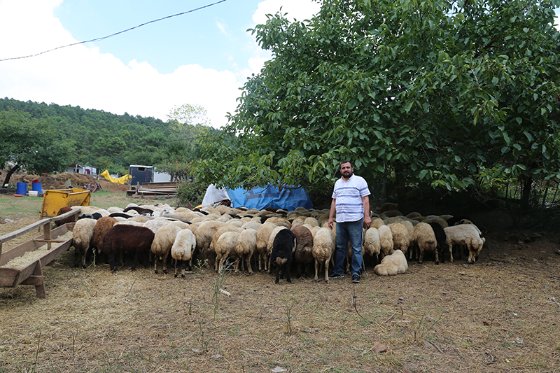 Küçükyalı adak kurban satış yeri