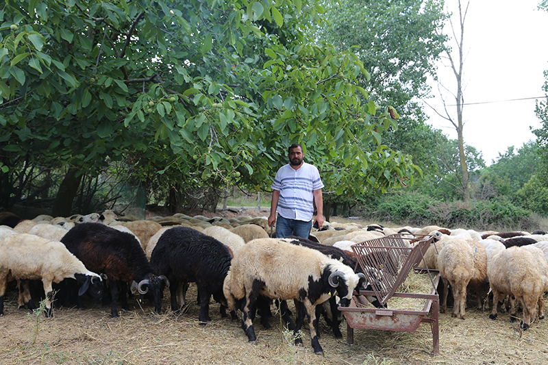 Çengelköy adak kurban satış yeri