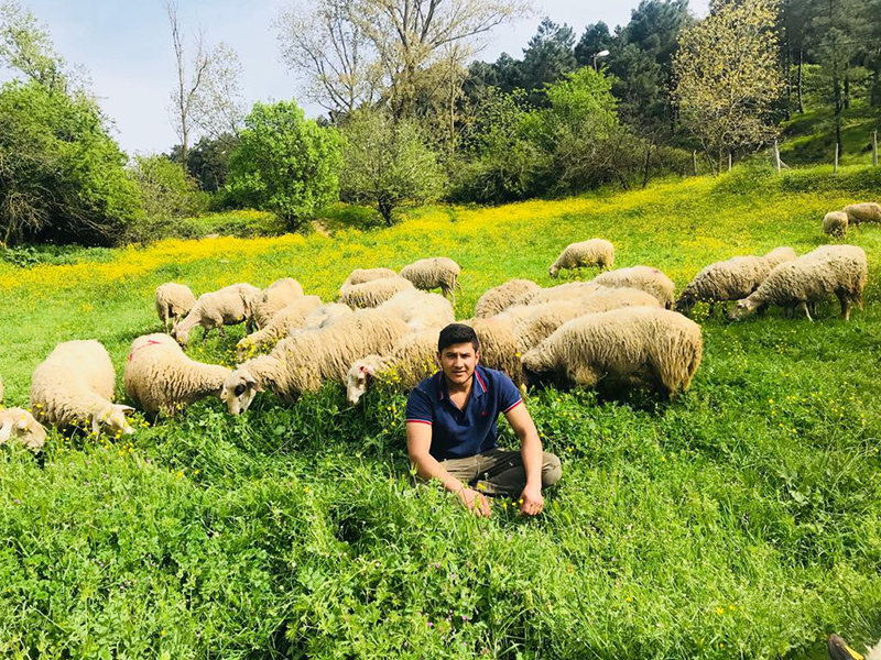 Bağlarbaşı adak kurban satış yeri