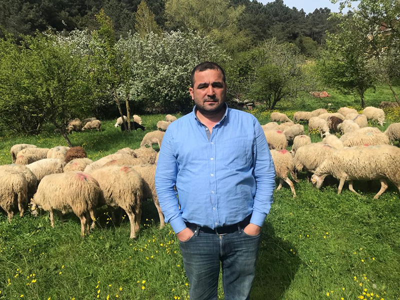 Ferhatpaşa adak kurban satış yeri