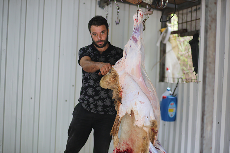 Kavacık adak kurban satış yeri
